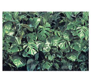 Fotomural Verde 368x254 cm