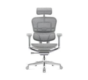 Silla de escritorio Ergohuman Elite 2  gris claro