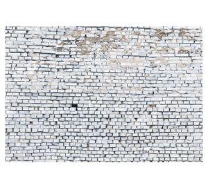 Fotomural Ladrillo Blanco 368x254 cm