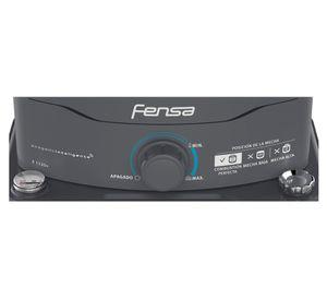 Estufa a parafina 2700W F1120+ grafito