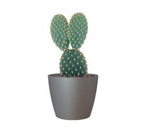 Maceta San Remo antracita 20 cm