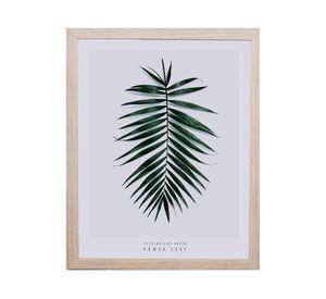 Lamina enmarcada 50x40 cm D1