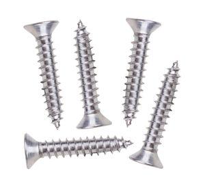 Roscala plana inoxidable 8x3/4" 5 unidades