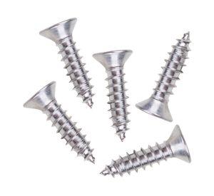 Roscala plana inoxidable 6x1/2" 5 unidades