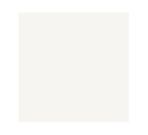 Pintura tizada 1 litro Chalk Paint Blanco Vintage mate