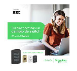 Placa ciega Miluz metal dorado Schneider