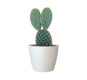 Maceta 30 cm San remo liso blanco