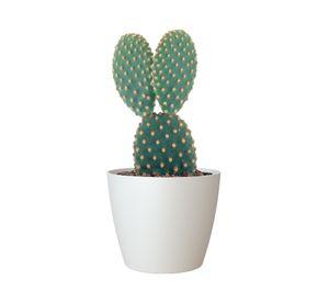 Maceta 20 cm San remo blanco