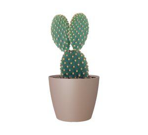 Maceta San Remo taupe 20 cm