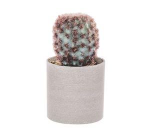 Planta artificial Suculenta E Outzen.