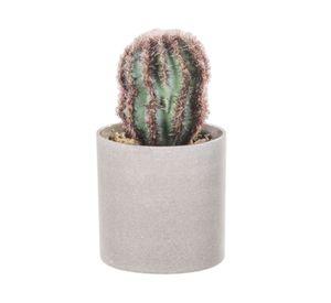 Planta artificial Suculenta F Outzen.