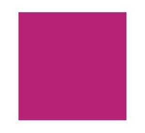 Pintura 130 ml Chalky look crazy horse mate Fleur