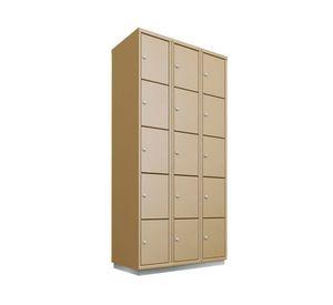 Locker custodia profesional 15 puertas P5-05 Maletek