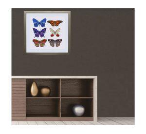 Cuadro 50x50 cm conjunto mariposas Ronda