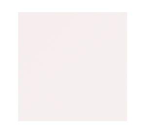 Barniz marino 400 ml natural brillante Tricolor