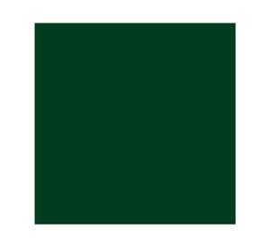 Pintura spray Secado rápido verde oscuro Marson