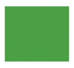 Pintura Spray secado rápido verde esmeralda 350 ml