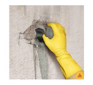 Acelerador de fraguado 4,5 lt sika 2 Sika.
