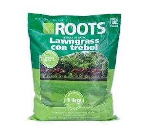 Semilla pasto lawngrass trébol corriente desinfectada 1 kilo Roots