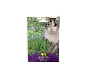Semilla corriente hierba gatos desinfectada x10g vita