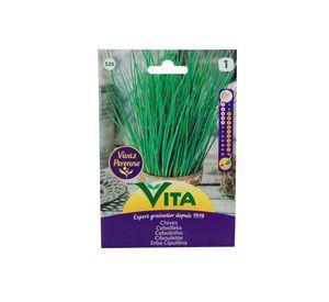 Semilla corriente cebolleta desinfectada x1g vita