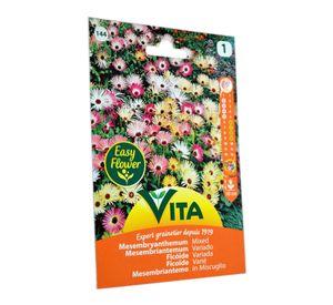 Semilla corriente mesembriantemum variado x1 g vita
