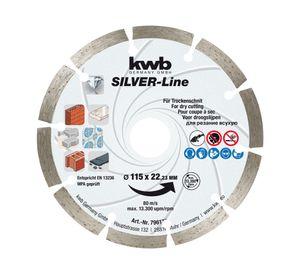 Diamantado segmen universal 115x22 mm