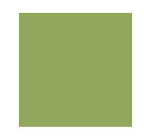 Pintura 130 ml Chalky look bamboo mate Fleur