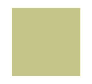Pintura 750 ml Eggshell veranda green semi satín Fleur