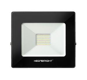 Proyector 30W luz fría Megabright