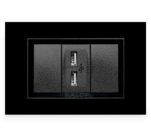 Placa armada USB doble KS40491 negro Kalop