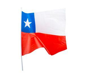 Bandera chilena 60x90 cm + varilla Producto Nativo