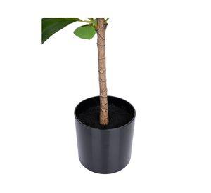 Planta artificial 110 cm Peperomia Outzen.