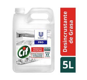 Desincrustante de grasa profesional 5 lt
