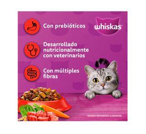 Alimento seco 8 kg gatos adultos Carne