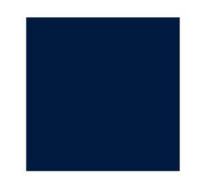 Pintura para tela azul marino Fabric