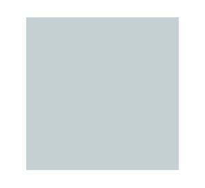 Spray imprimante zinsser 123 primer gris Zinsser