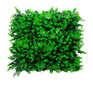 Jardín vertical artificial 50x50 cm Eucaliptus