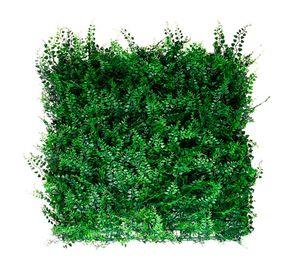 Jardín vertical helecho 50x50 cm Fern