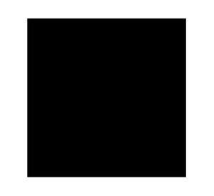 Pintura techo Multitecho 1 GL negro mate