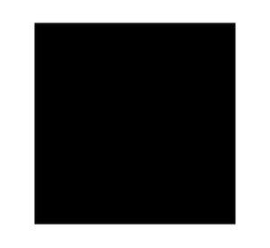 Pintura spray 340 ml Fusion 5X negro mate