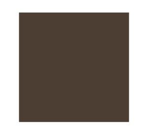 Pintura en spray Fusión coffe bean 340 ml