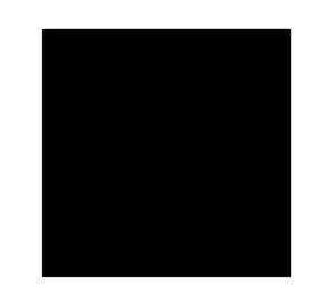 Pintura spray 340 ml Fusion 5X negro brillante