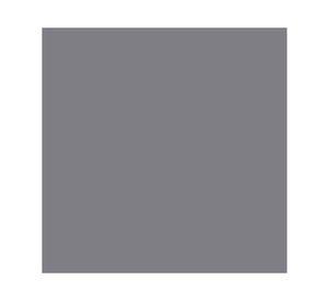Pintura spray 340 ml Fusion 5X gris mate
