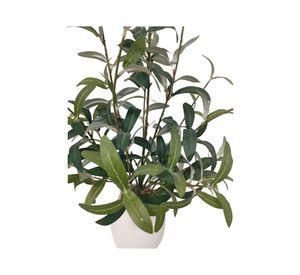 Planta artificial con maceta Oliva