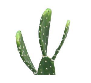 Cactus artificial maceta Atacama