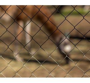 Malla perimetral Bizcocho tipo 5014 alambre galvanizado 1.8x25 mt