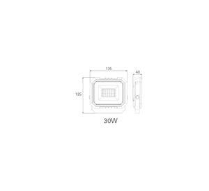 Proyector LED 30W 6500 K luz fría