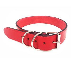 Collar L rojo Pets&Friends
