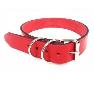 Collar perro M rojo Pets&Friends